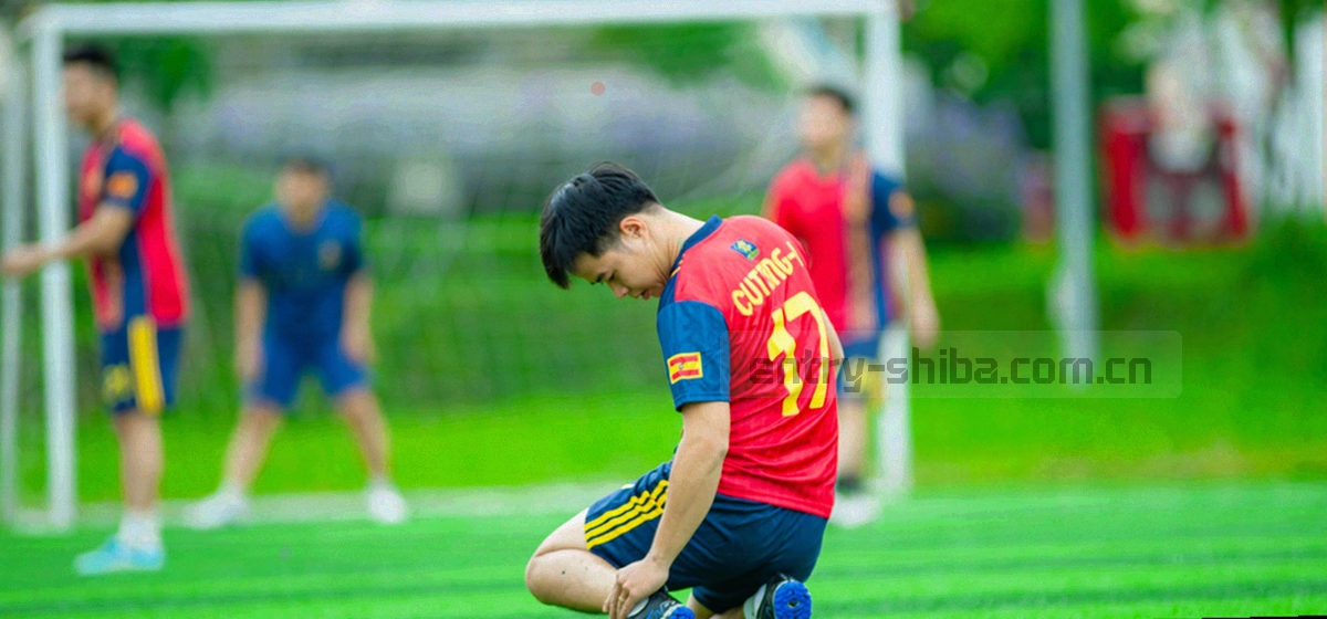 2019 至 2024 四个节点组成的横向时间线，节点编号等宽，细线相连